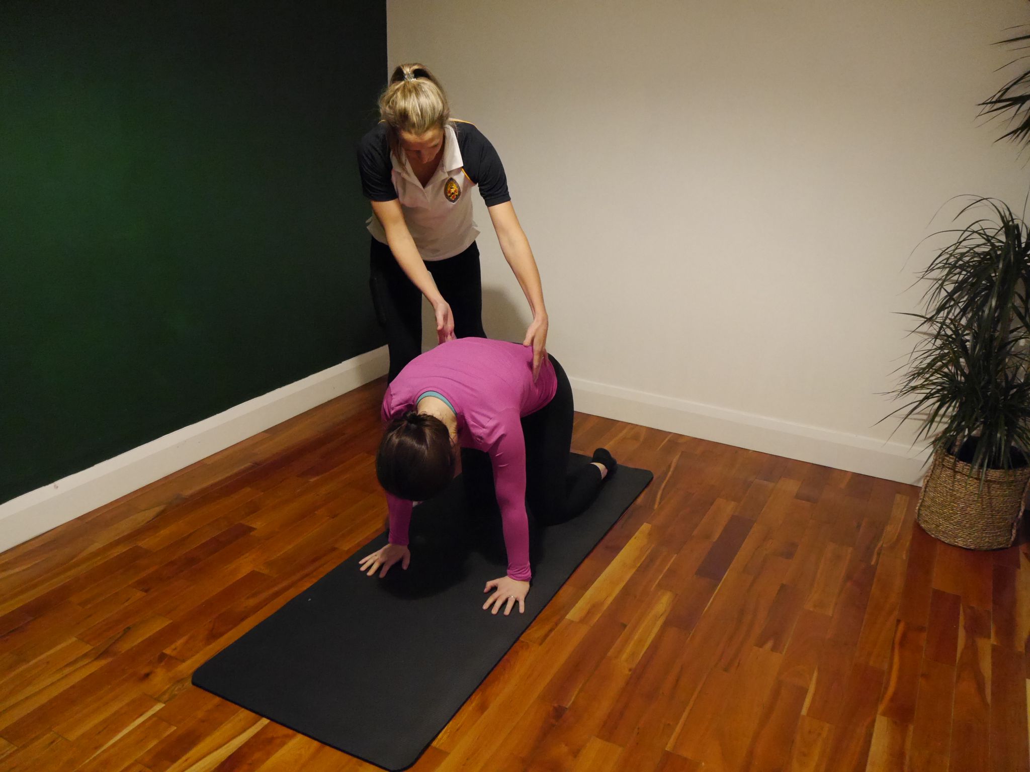 Physio Led Pilates Classes Helen S Bay Physiotherapy