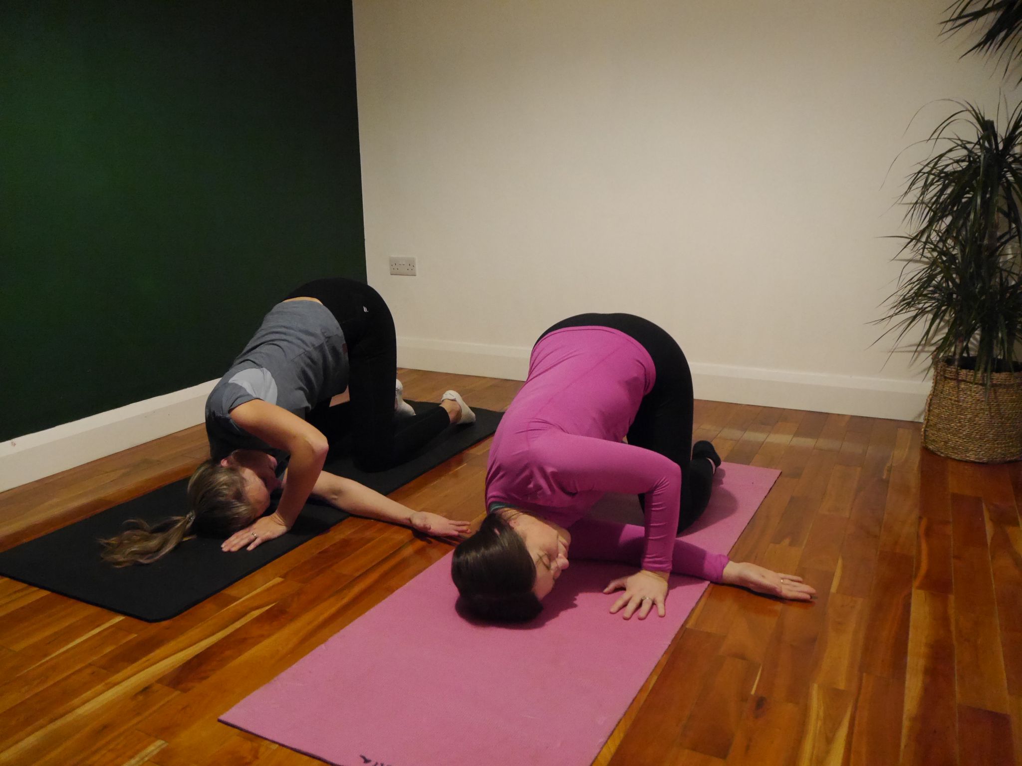 Physio Led Pilates Helen S Bay Physiotherapy